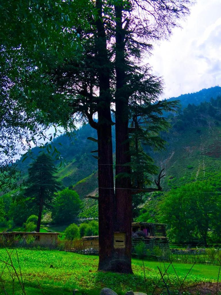 Chitral Inn Resort Exterior foto